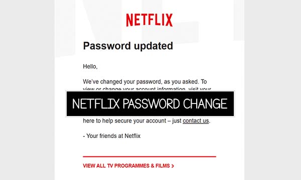 Netflix Password Change