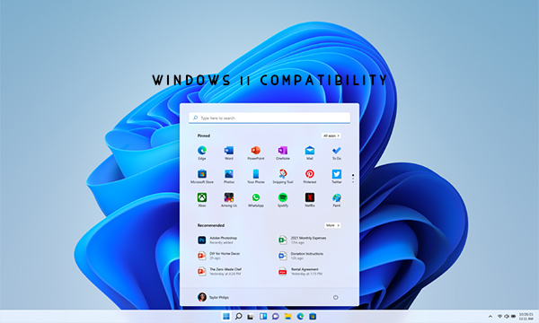 Windows 11 Compatibility