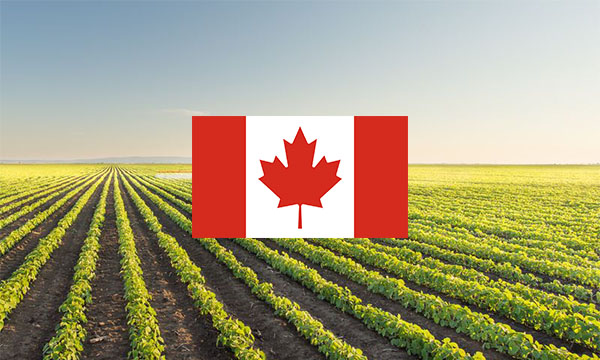 Agricultural Immigrant Workers in Canada