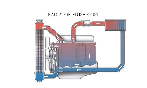 Radiator Flush Cost