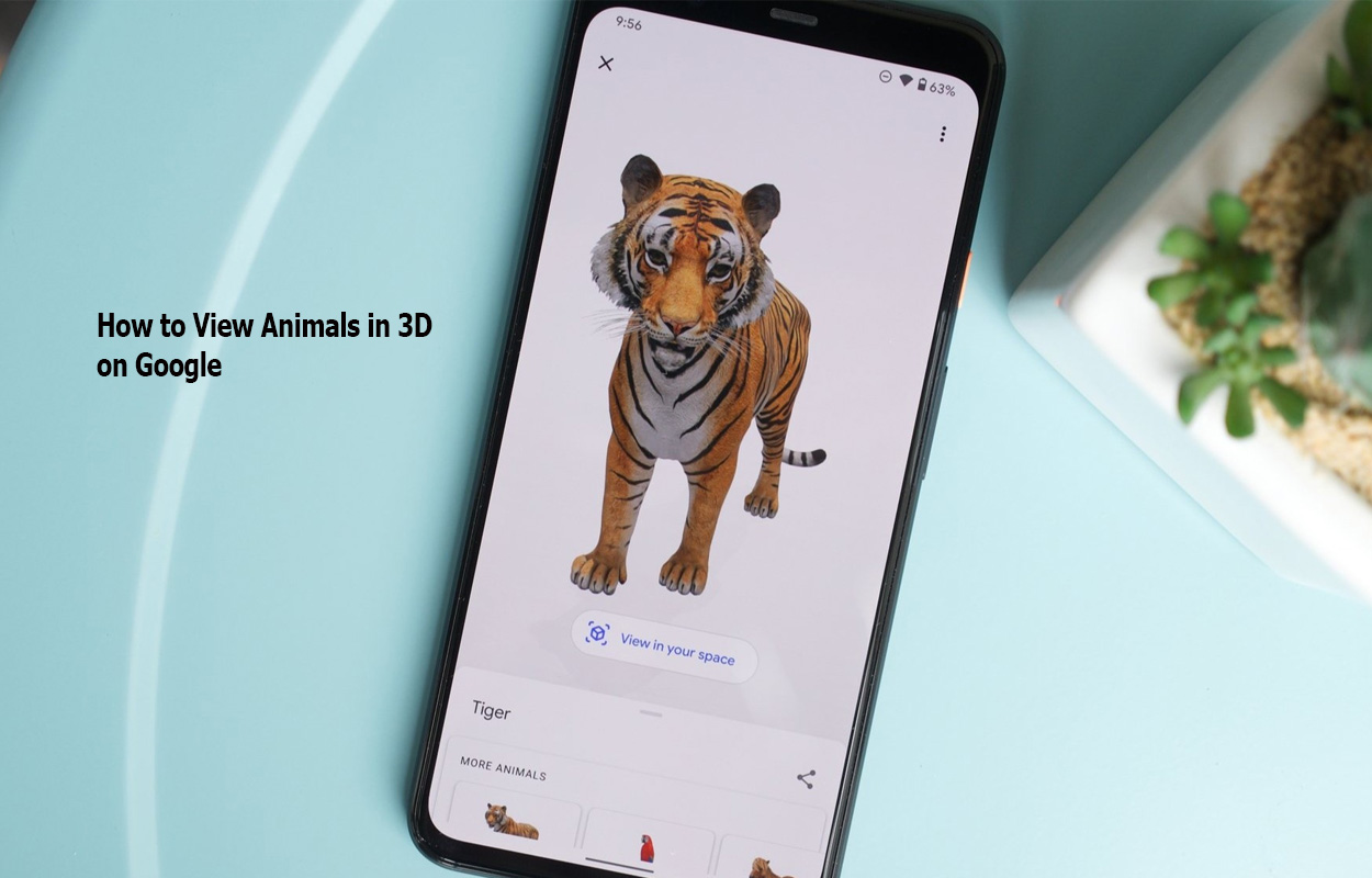 How to View Animals in 3D on Google