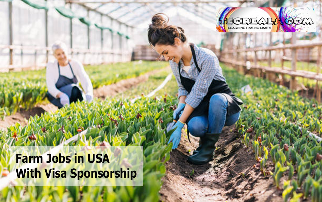 Farm Jobs in USA With Visa Sponsorship