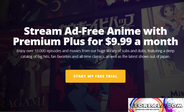 How Much is Funimation? (Premium Subscription Price)