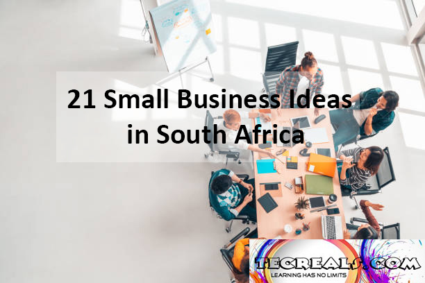 21 Small Business Ideas in South Africa