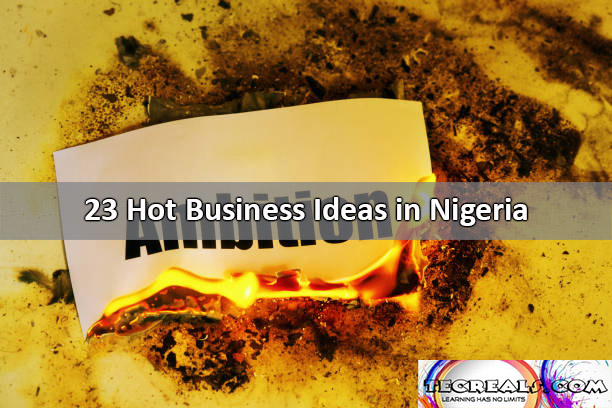 23 Hot Business Ideas in Nigeria
