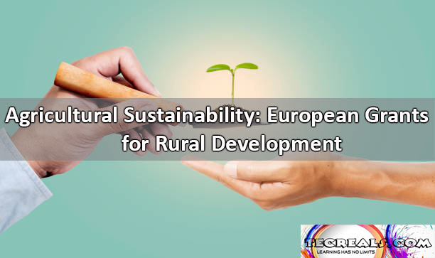 Agricultural Sustainability: European Grants for Rural Development 