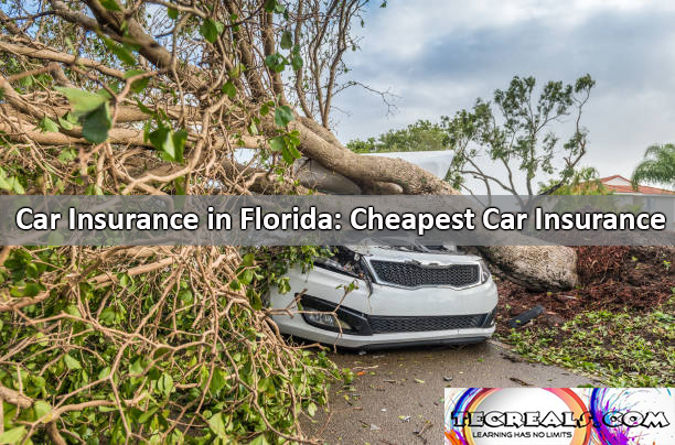 Car Insurance in Florida: Cheapest Car Insurance in Florida