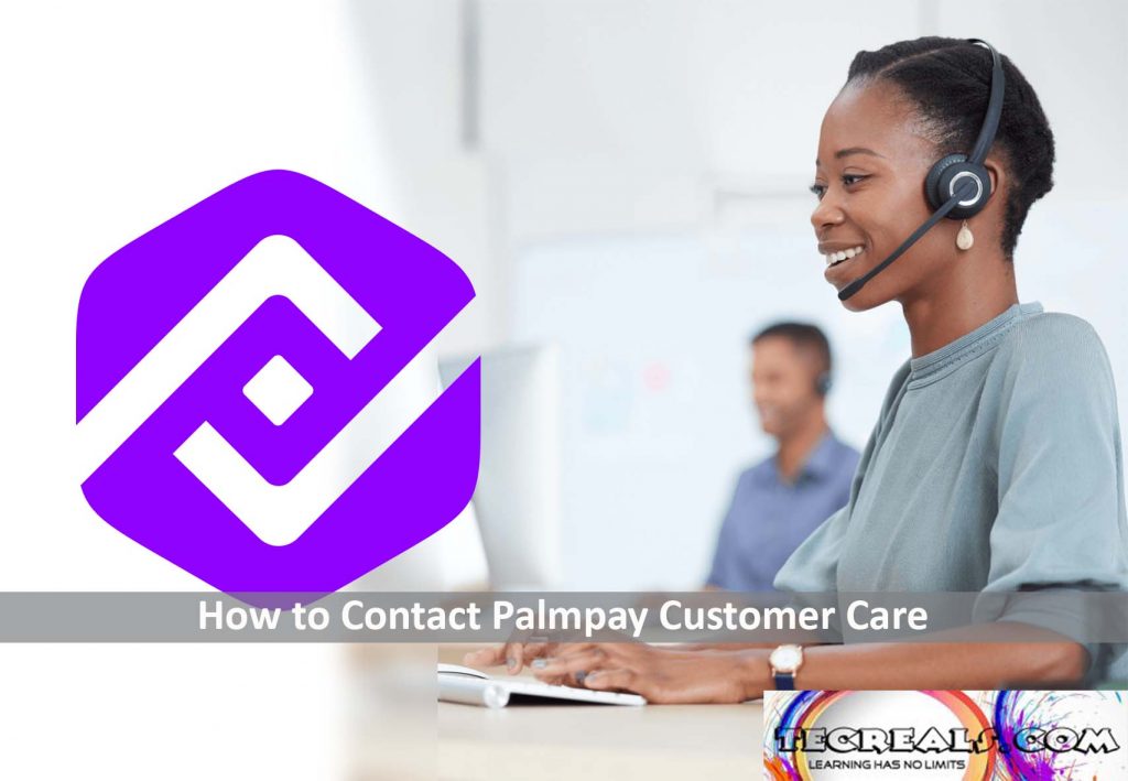 How to Contact Palmpay Customer Care