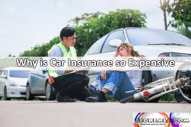 Why is Car Insurance so Expensive?