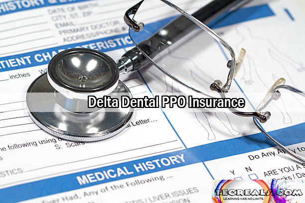 Delta Dental PPO Insurance: Understanding the PPO Dental Plan