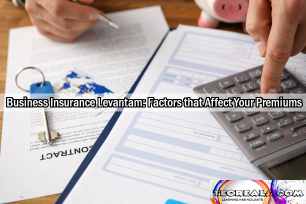 Business Insurance Levantam: Critical Factors that Affect Your Premiums