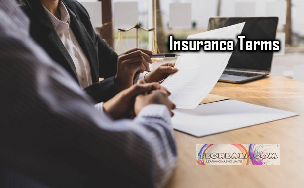 Insurance Terms - Key Insurance Terms Explained